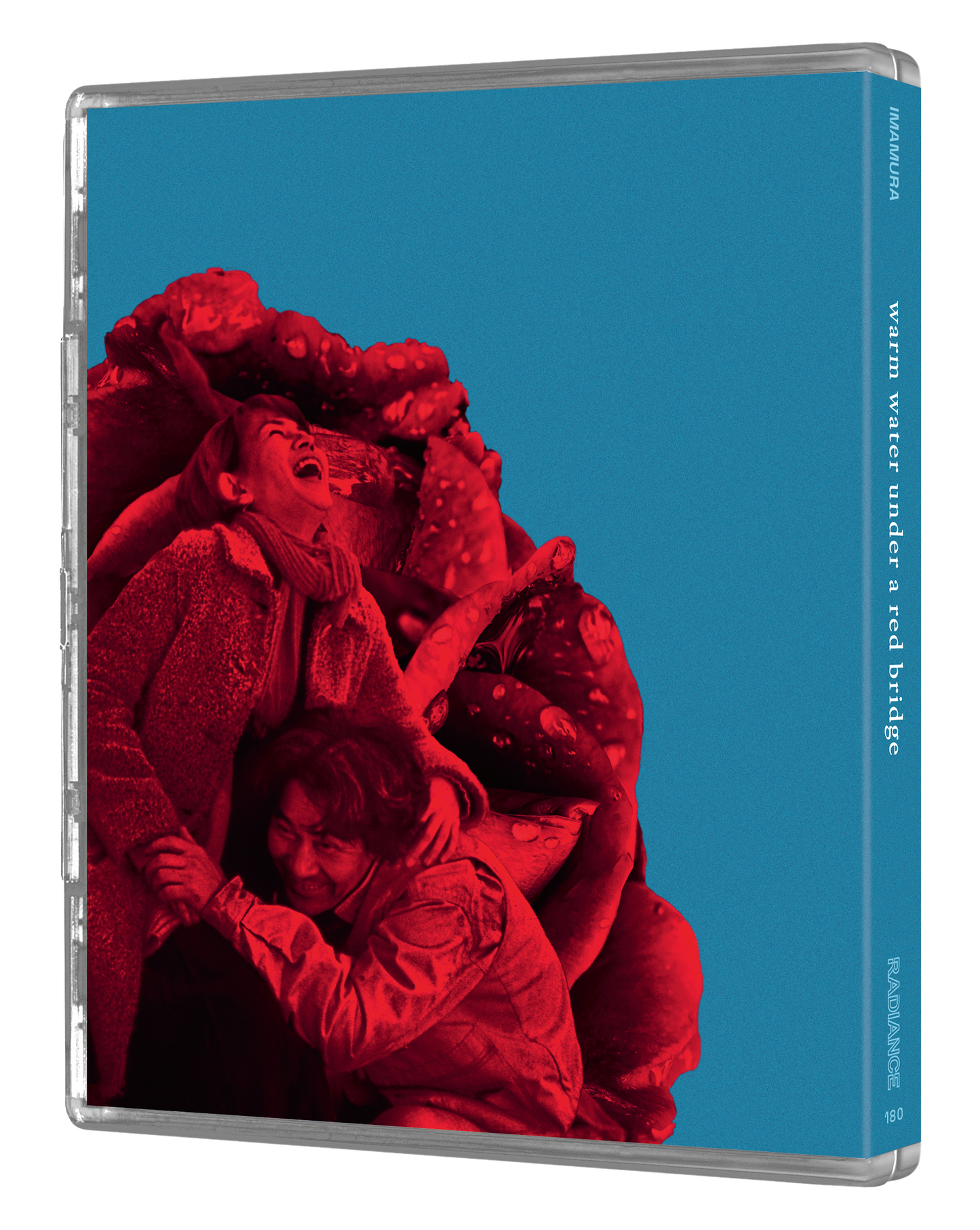 Warm Water Under a Red Bridge (LE)