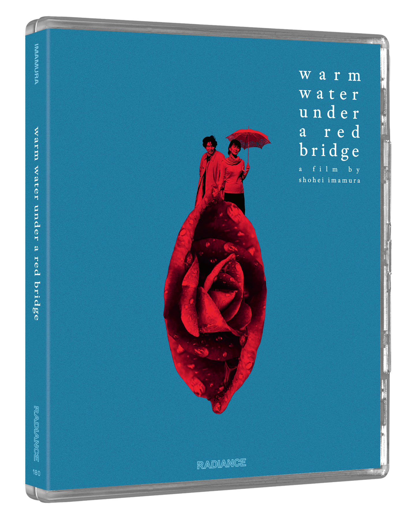 Warm Water Under a Red Bridge (LE)